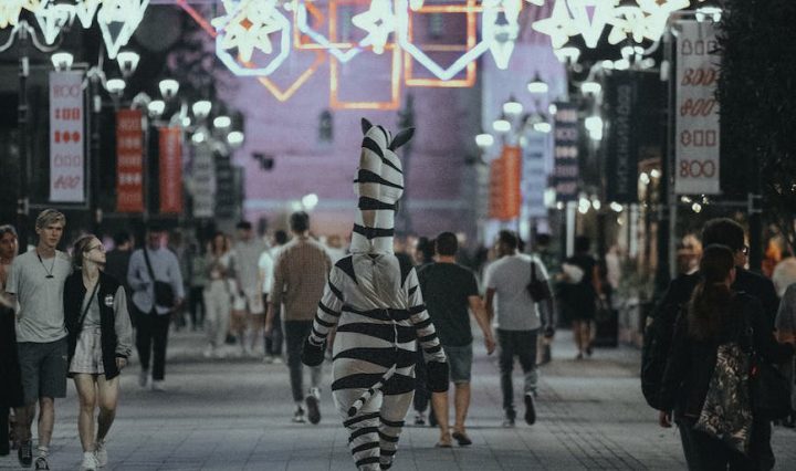 person in zebra costume